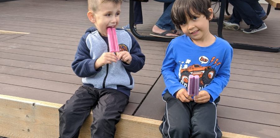 2020 AGM & Walkathon Roundup