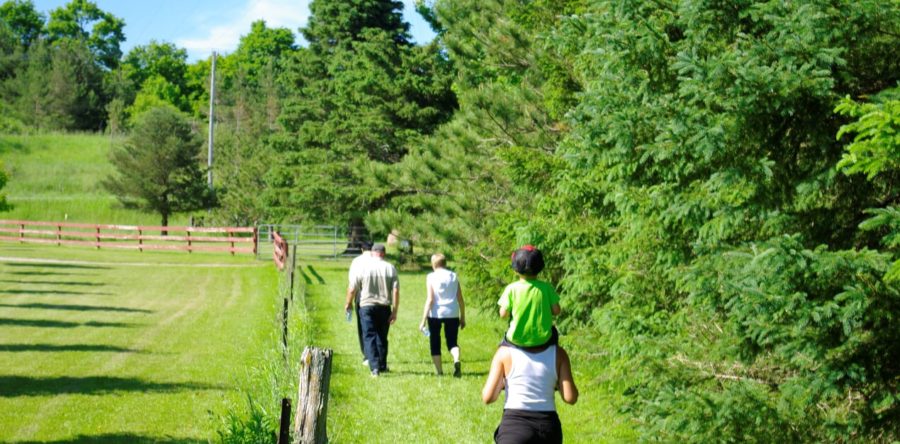 2020 Camp OCA Walkathon & AGM Reminder